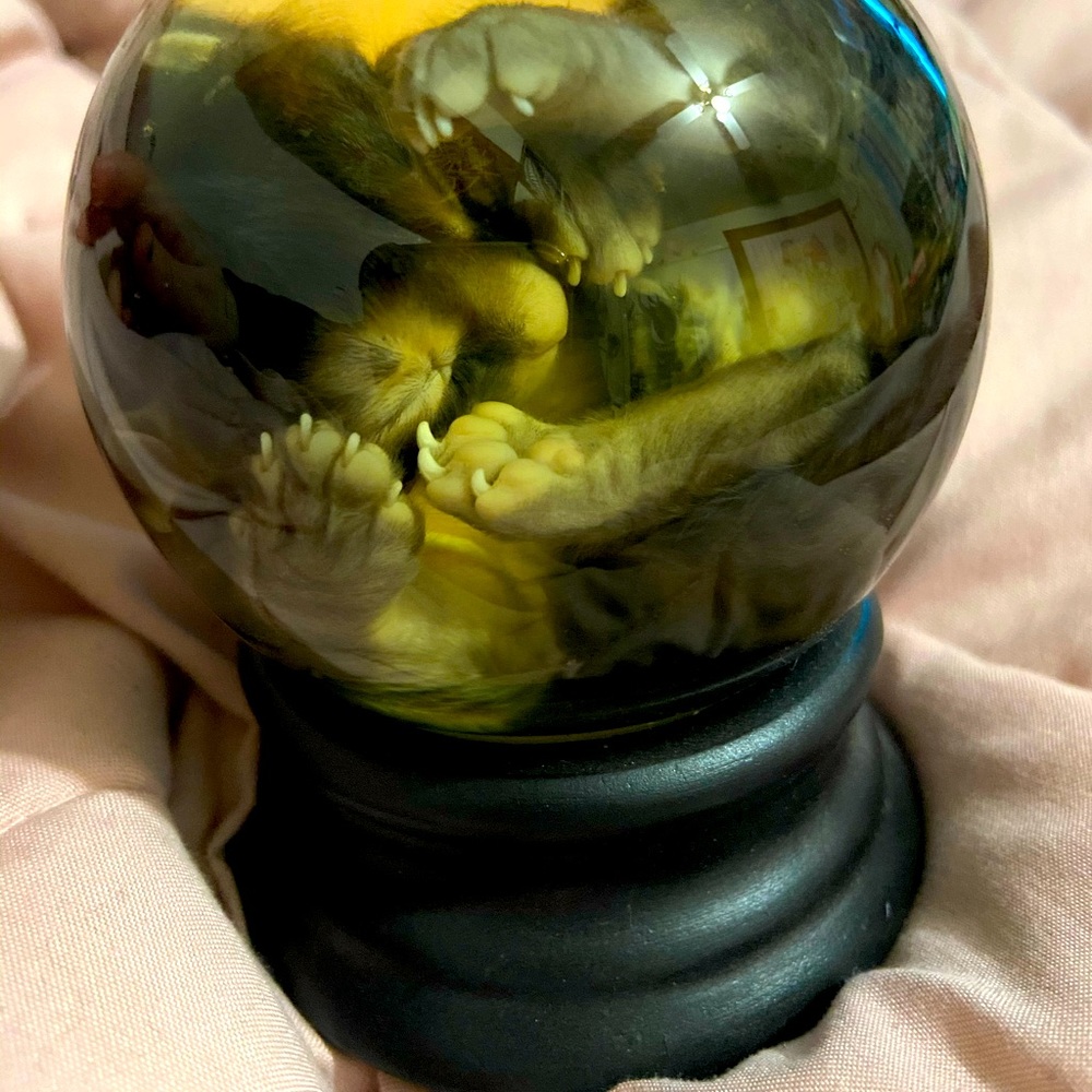 ON HOLD FOR @LITTLEGOTHIC